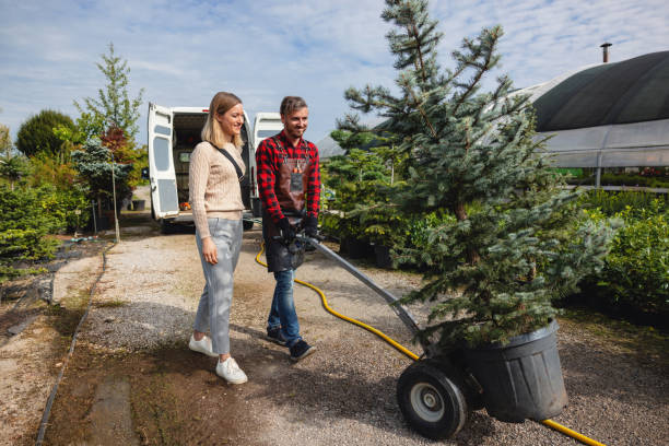 Best Palm Tree Trimming  in La Vista, NE